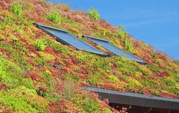 Lyatts living roof systems